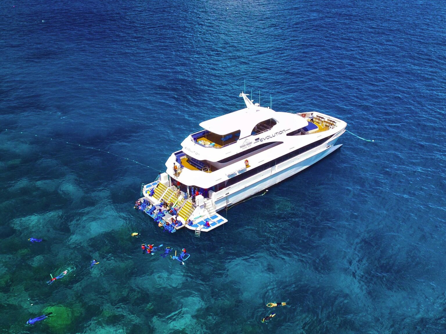 Down Under Cruise & Dive
