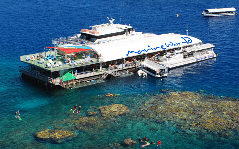 Reef Magic Pontoon