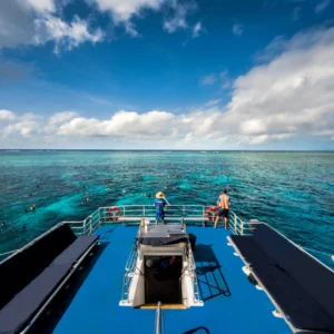 Reef-experience-2
