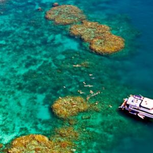 Reef-experience-4