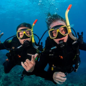 Reef-experience-7