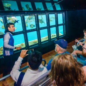 Sunlover-6