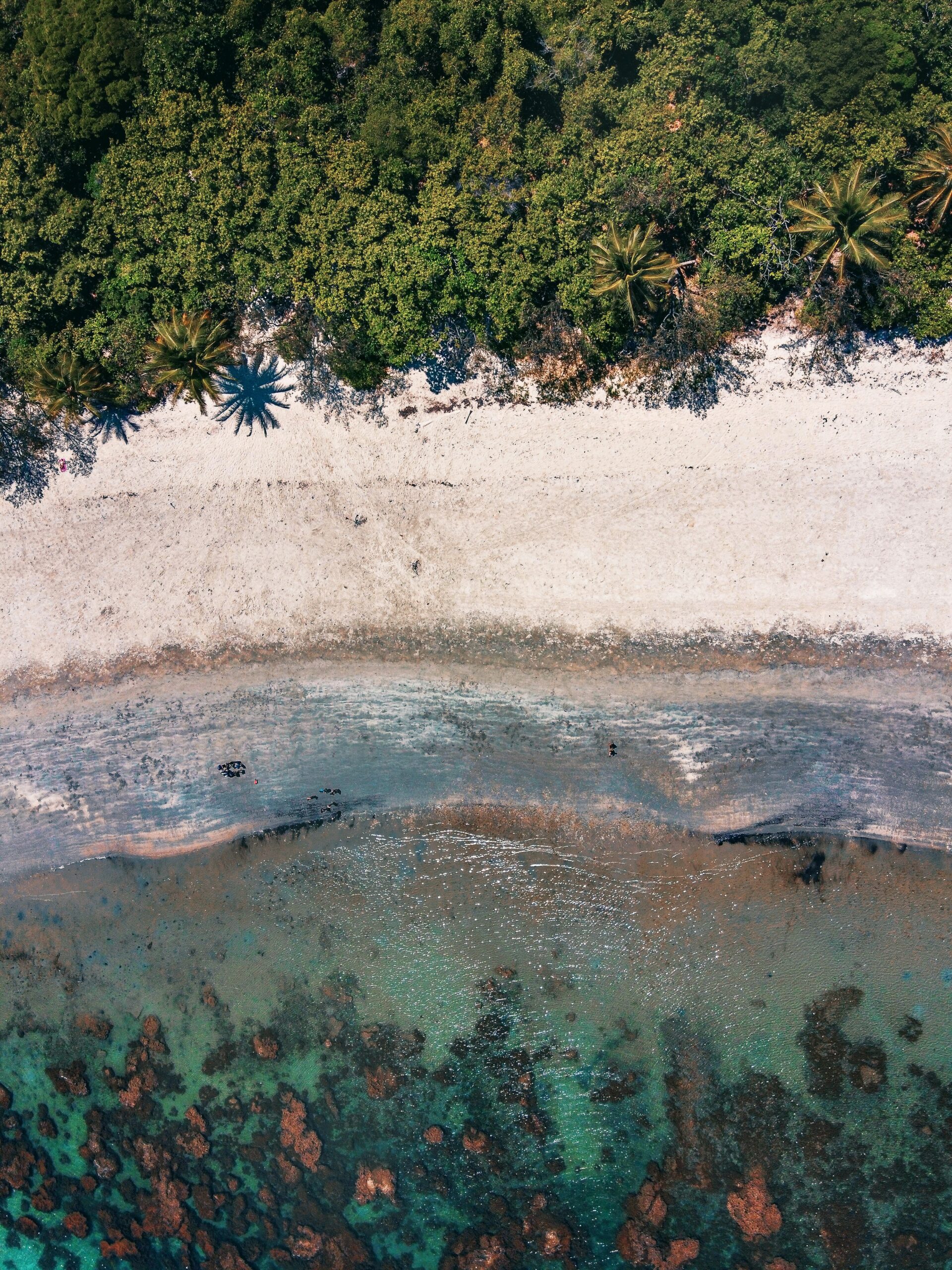 Crystal clear reef waters, Cairns