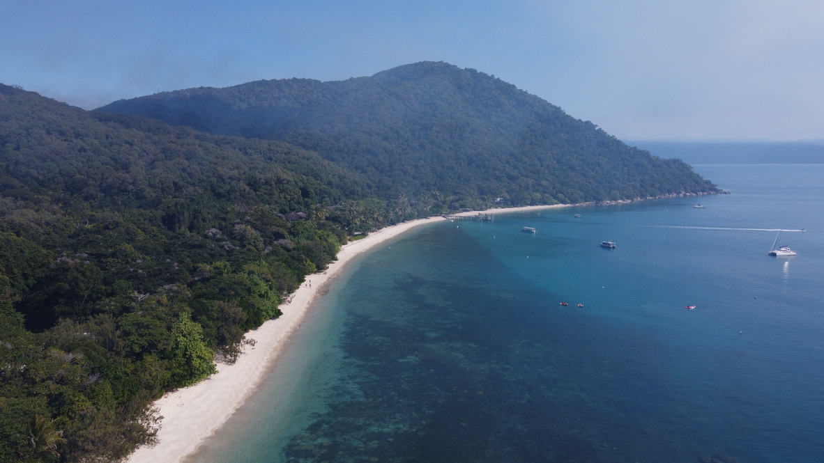 Fitzroy Island from above — national park rainforest meeting white sand beach