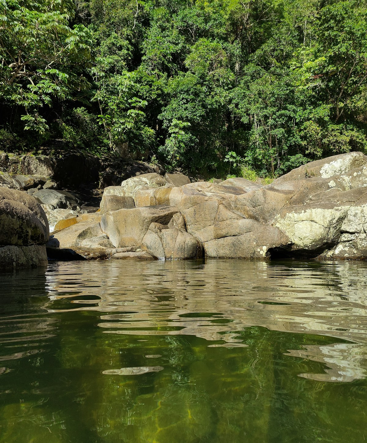 Crystal Cascades freshwater swimming hole near Cairns