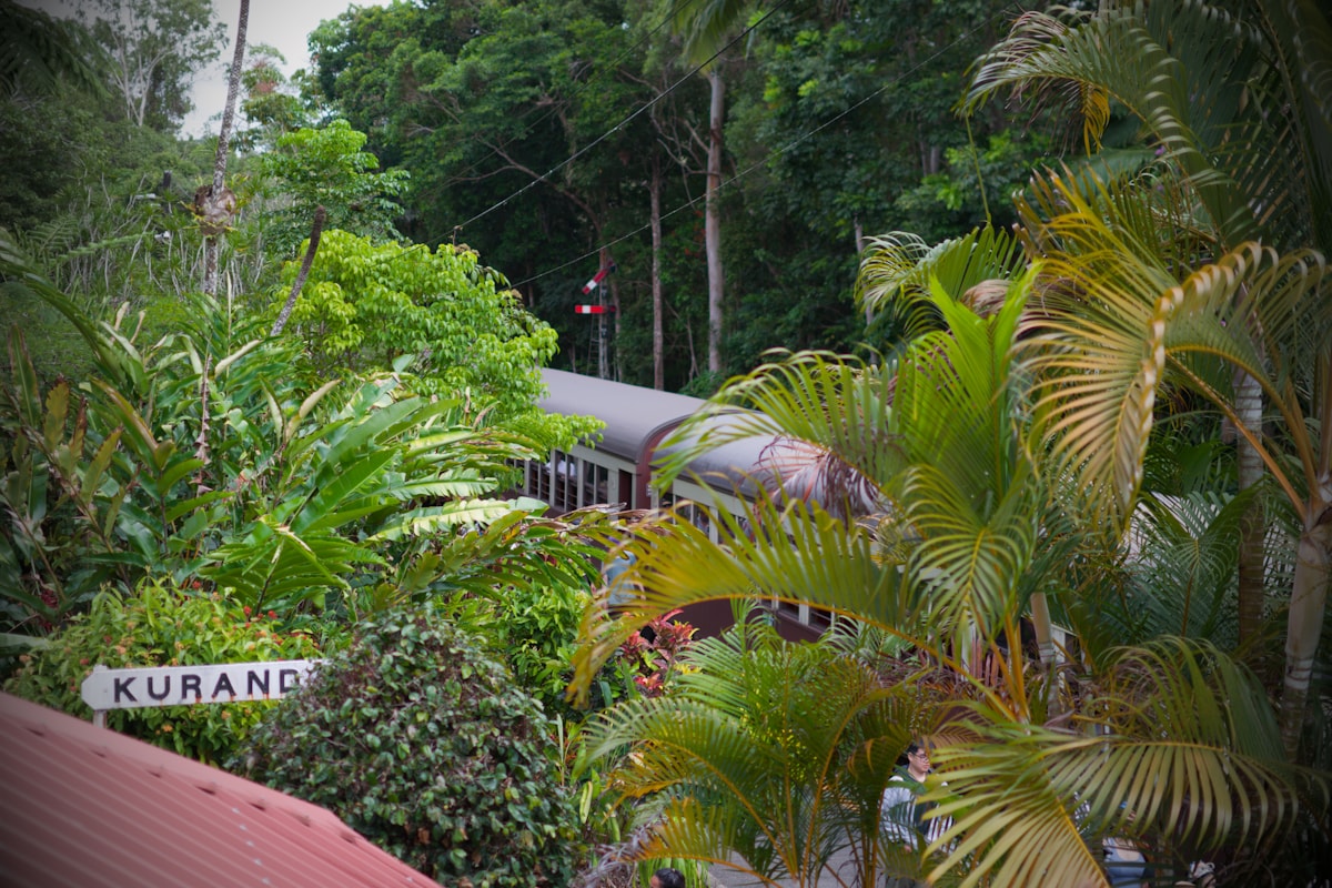 Kuranda Scenic Railway through Barron Gorge rainforest