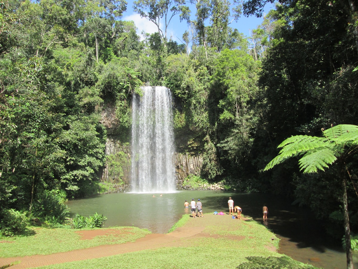 Milla Milla Falls on the Atherton Tablelands