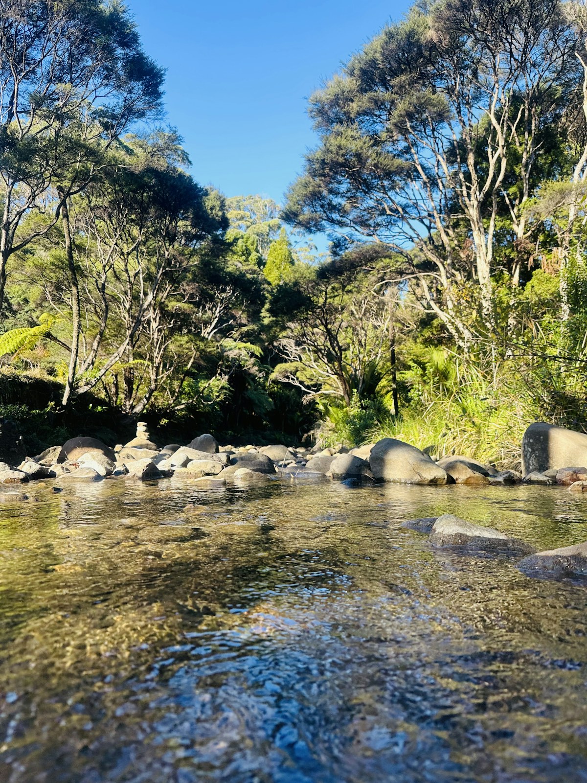 Stoney Creek swimming hole near Cairns