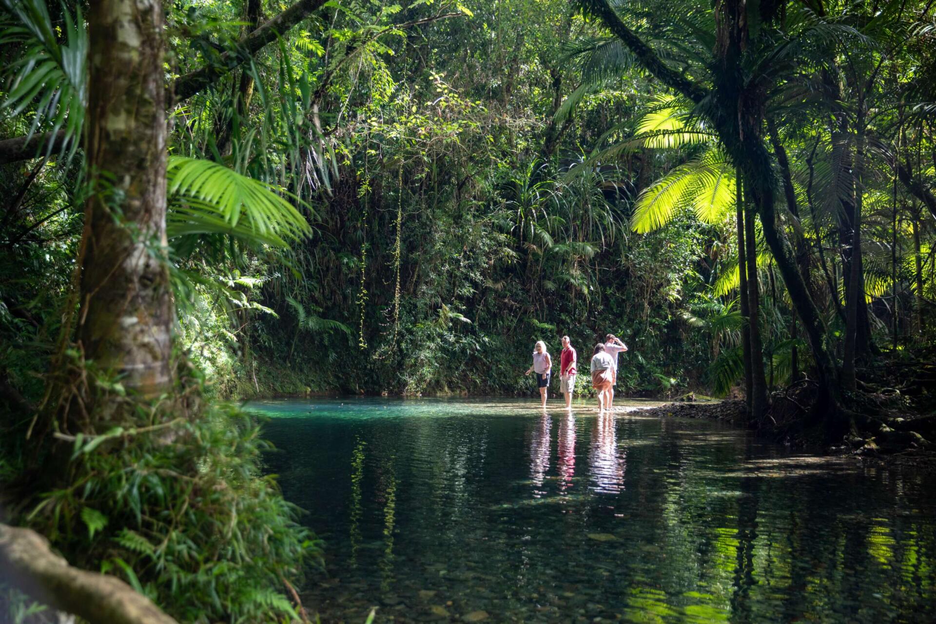 Mossman Gorge crystal clear water