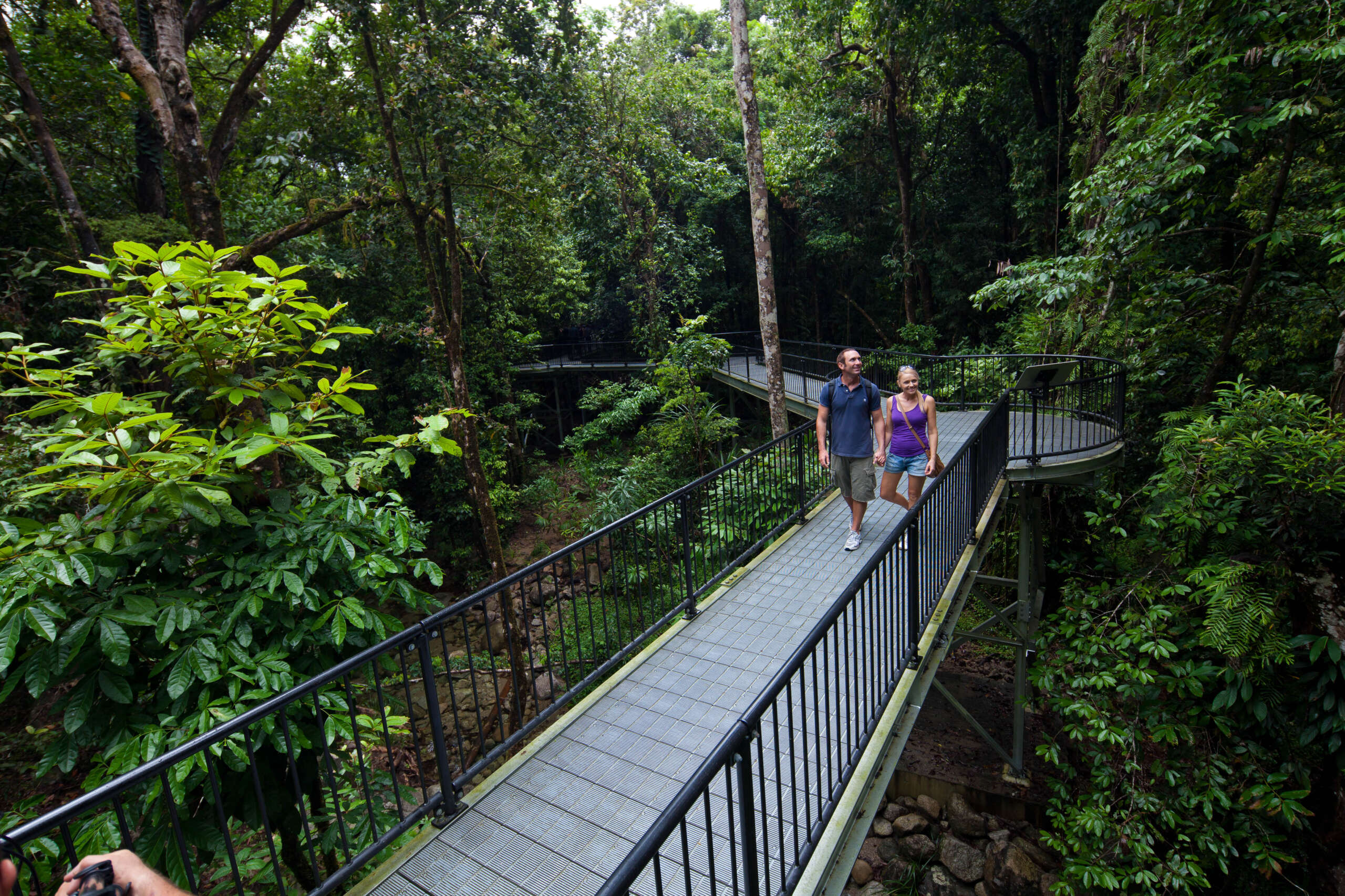 Mossman Gorge guided walk with group
