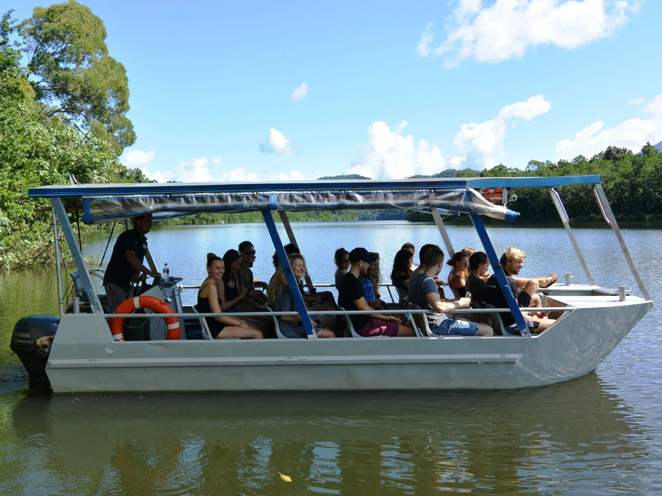 Daintree River wildlife cruise with Uncle Brian's