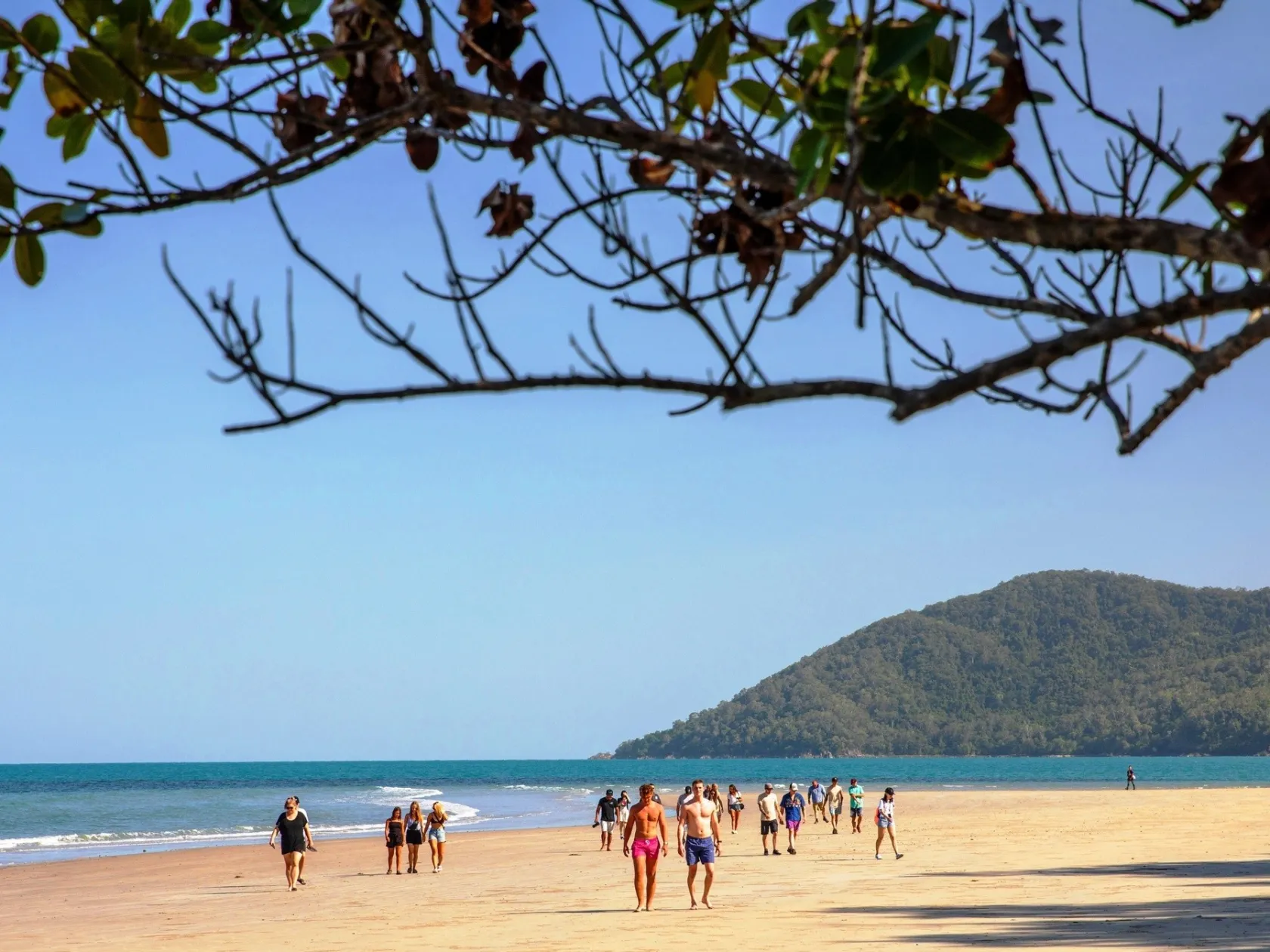 Visitors walking on Cape Tribulation beach with the rainforest headland behind them