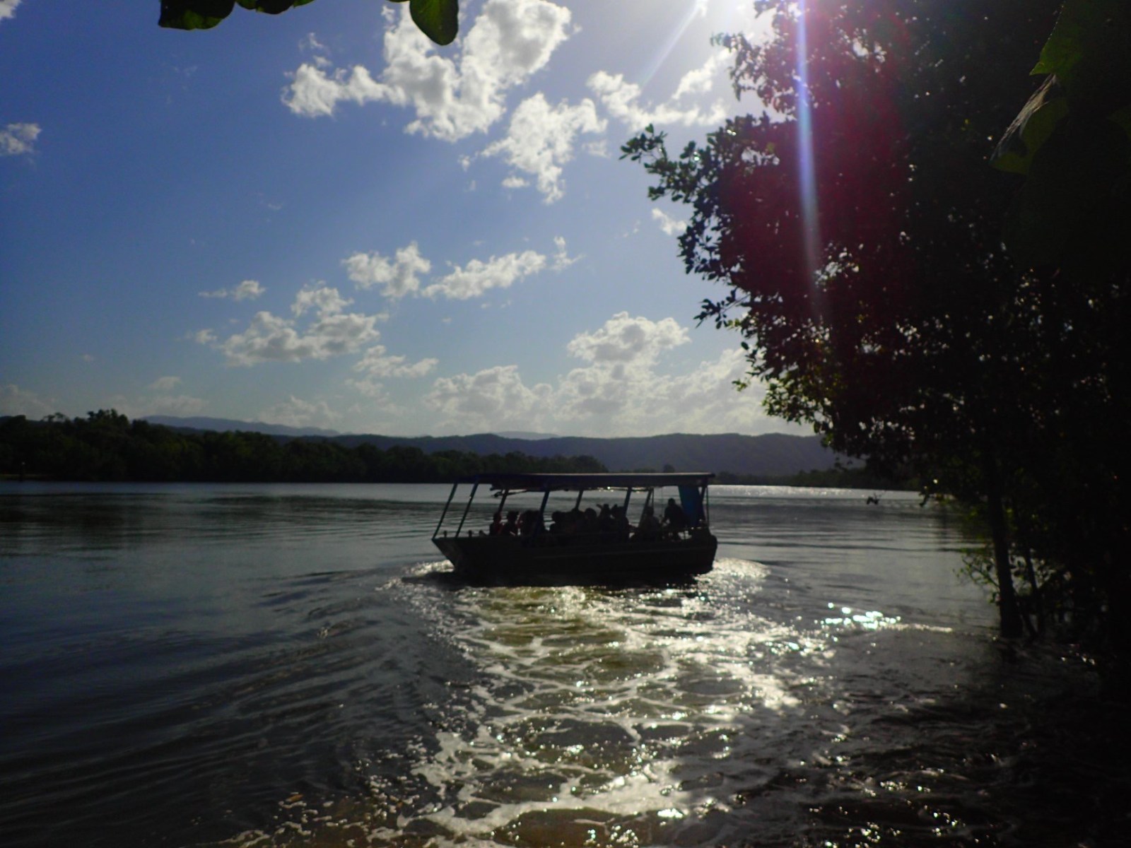 Daintree ferry crossing