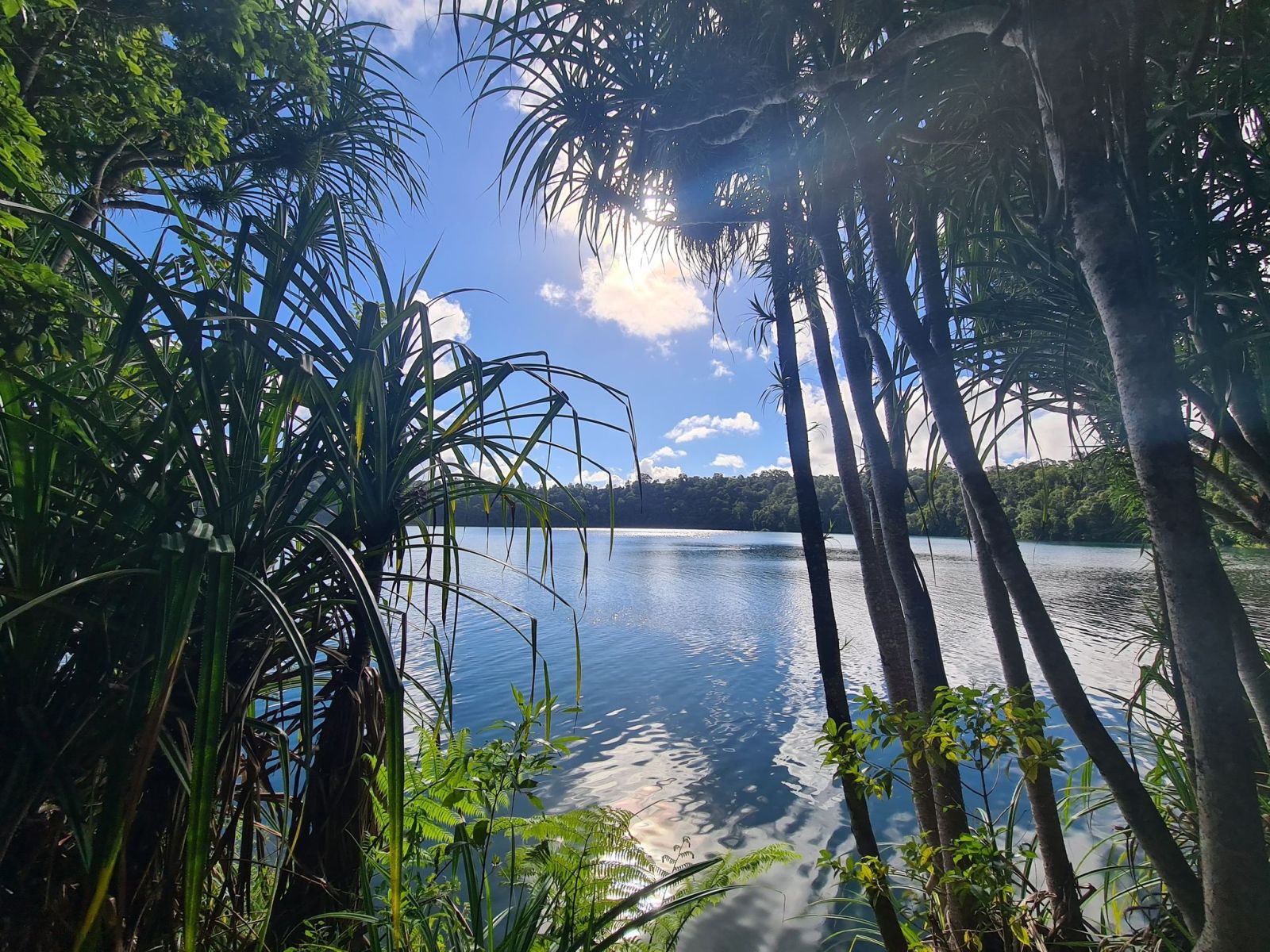 Lake Eacham volcanic crater lake