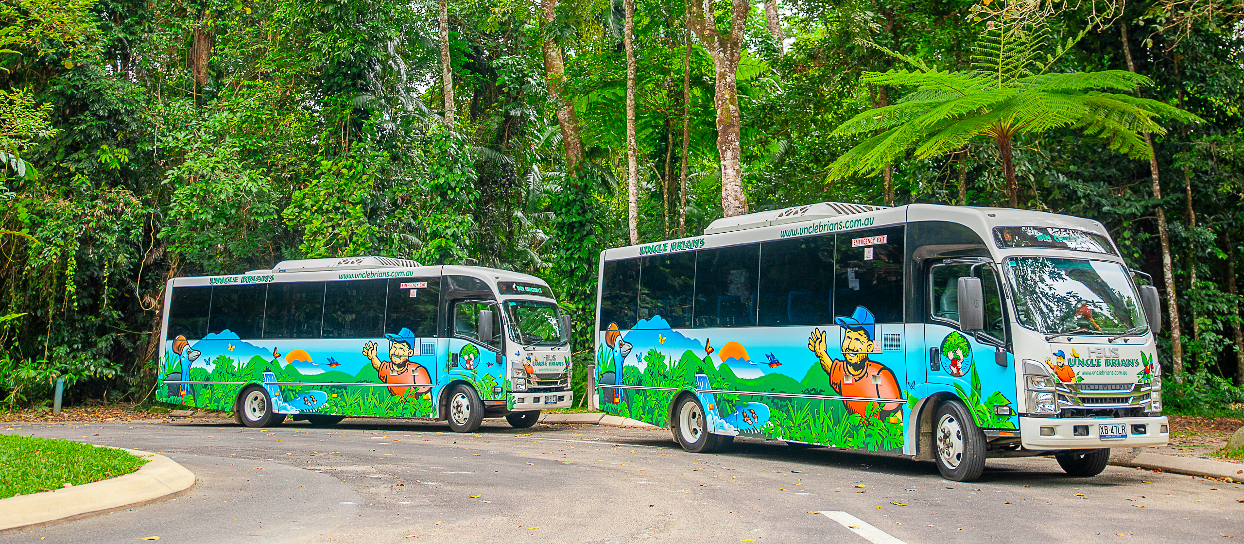 Gus the Wonder Bus on the Tablelands