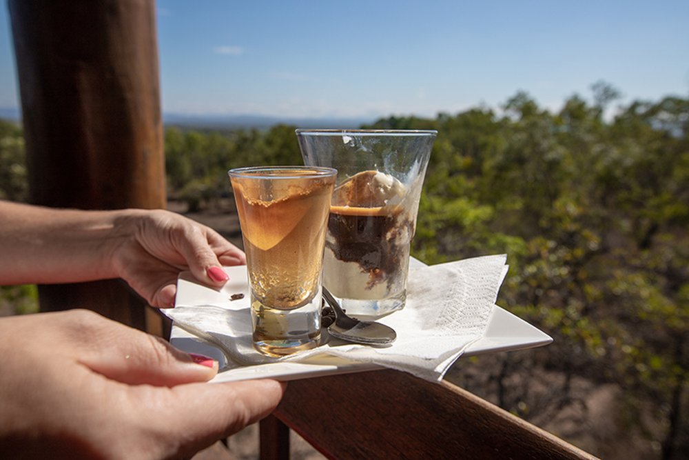 Morning tea at Skybury Coffee Plantation