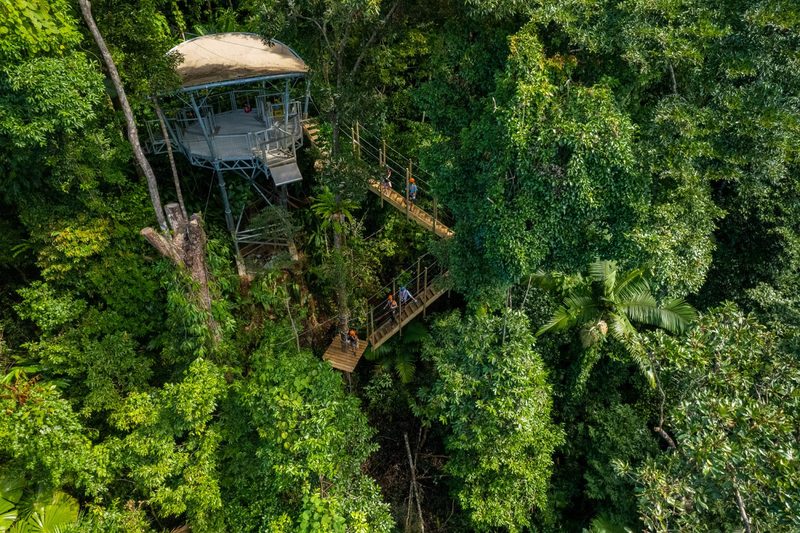 Daintree Rainforest Ziplining, Cairns
