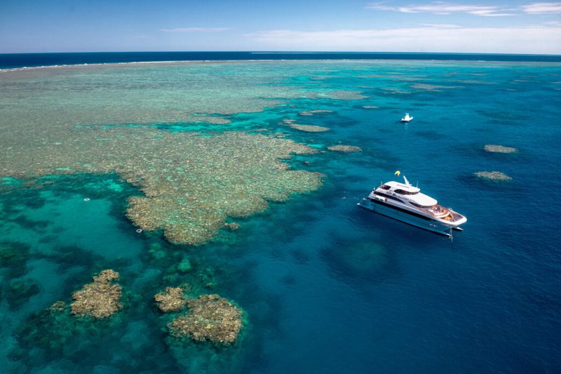 2 Day Reef & Rainforest, Cairns
