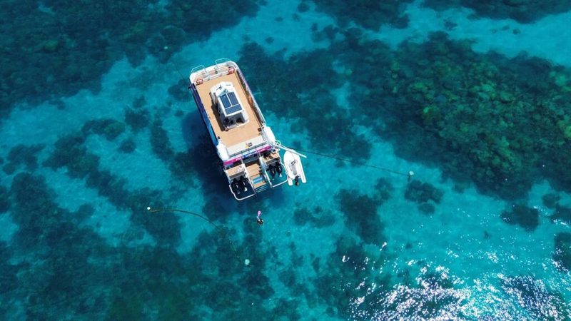Pure Snorkelling, Cairns
