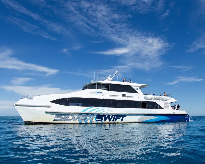Silverswift, Cairns