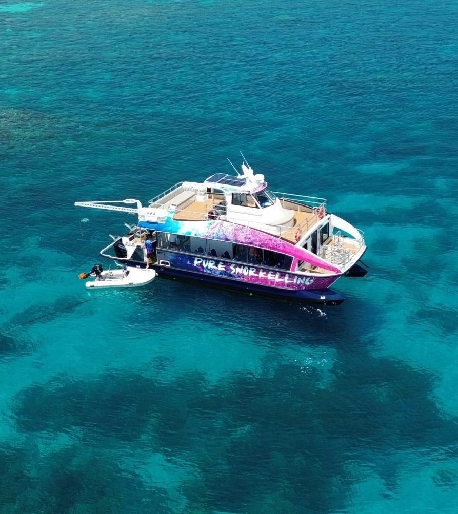 The Pure Snorkelling vessel from above with guests boarding at the reef