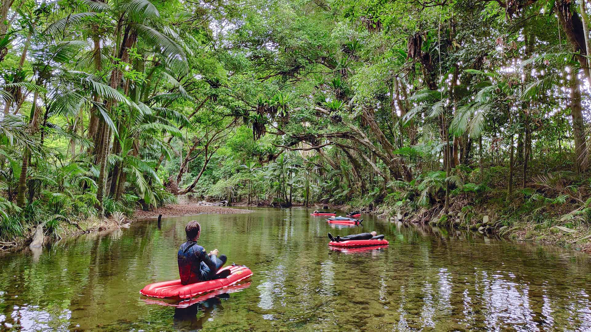 Daintree River drift snorkelling