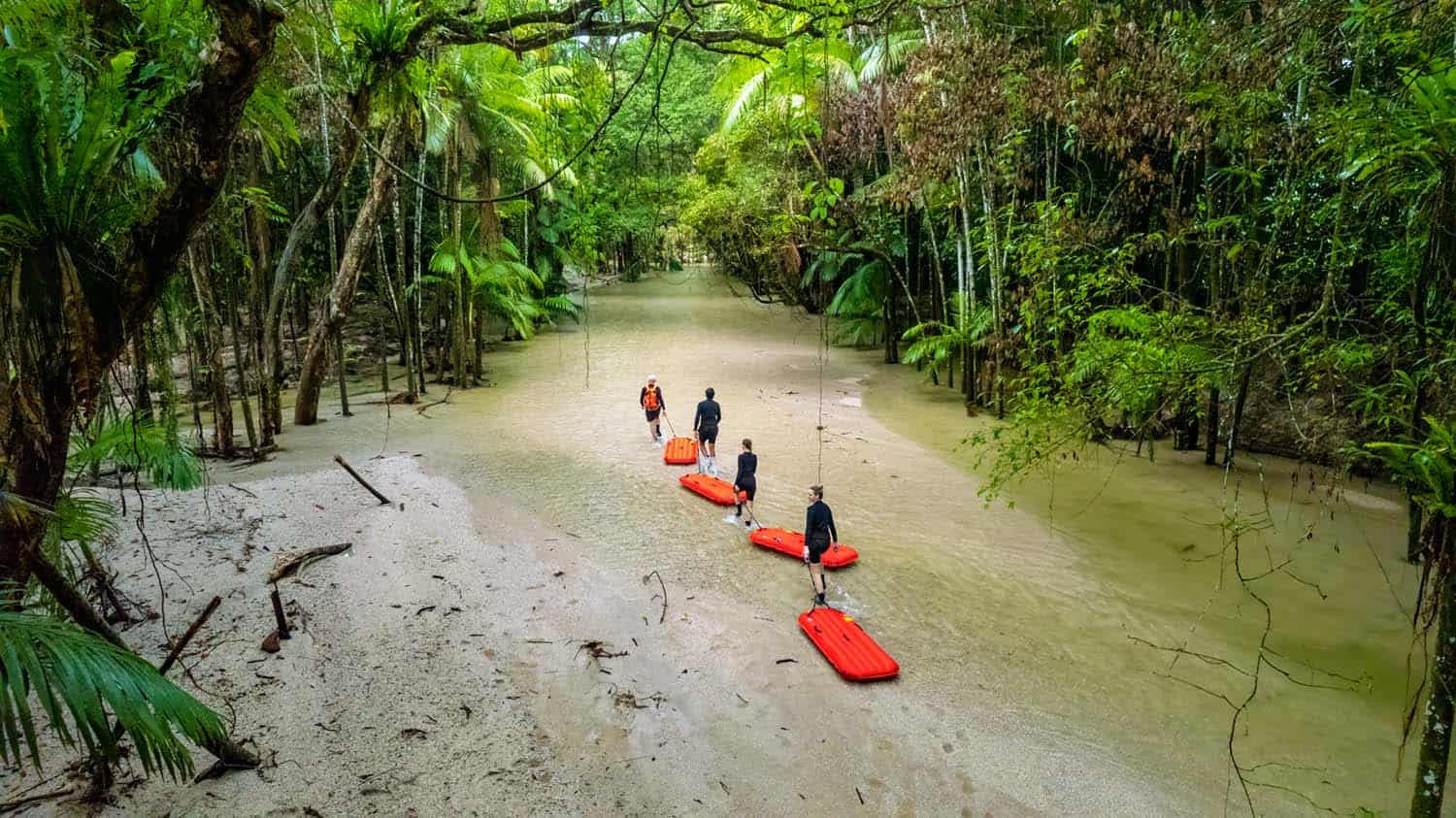 Daintree River drift snorkelling