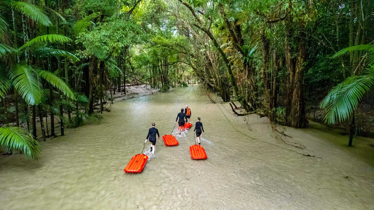 Daintree River drift snorkelling