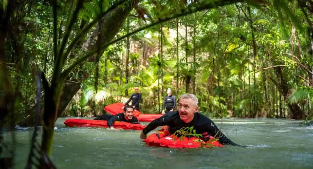 Daintree River drift snorkelling