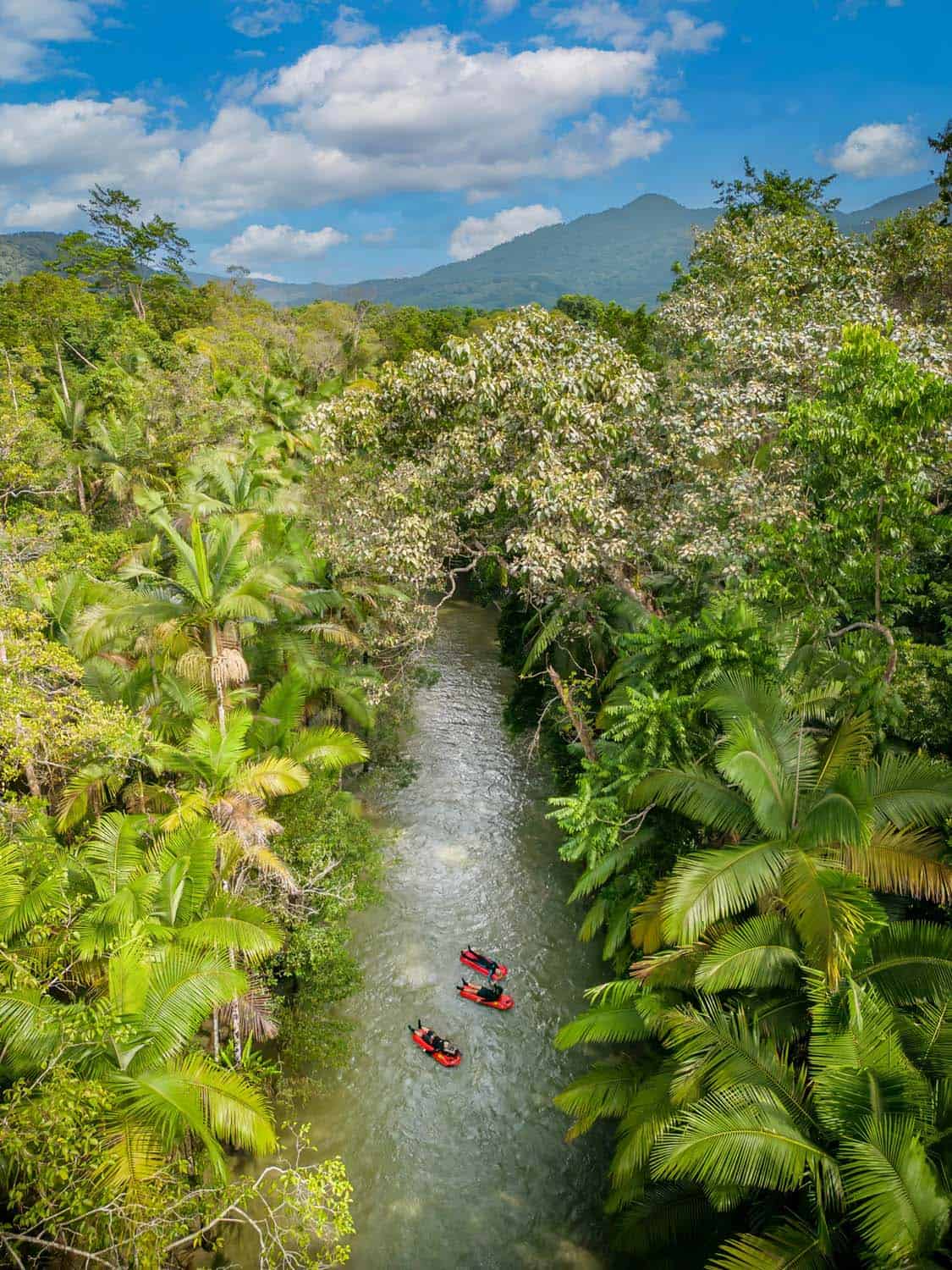 Daintree River drift snorkelling
