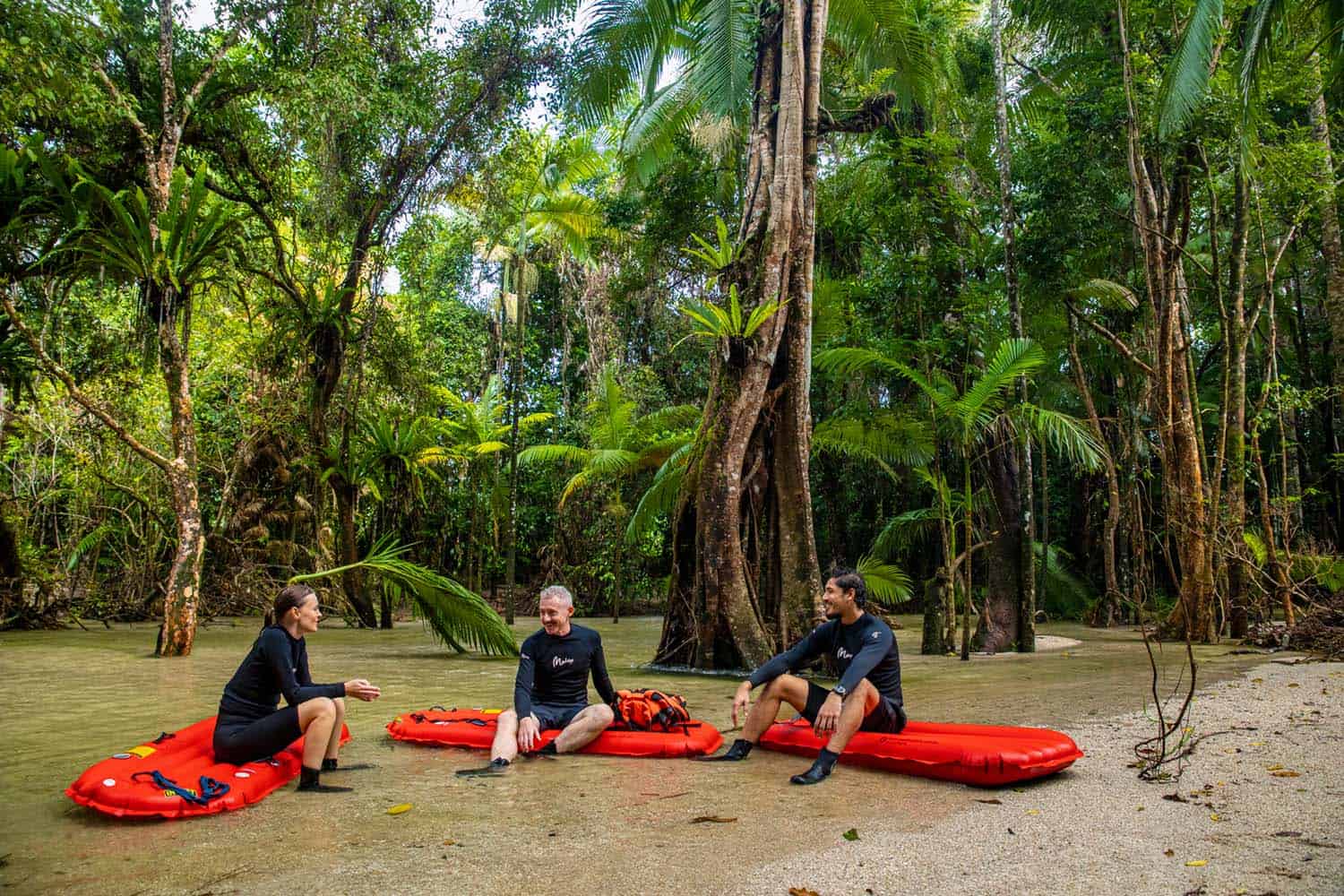 Daintree River drift snorkelling