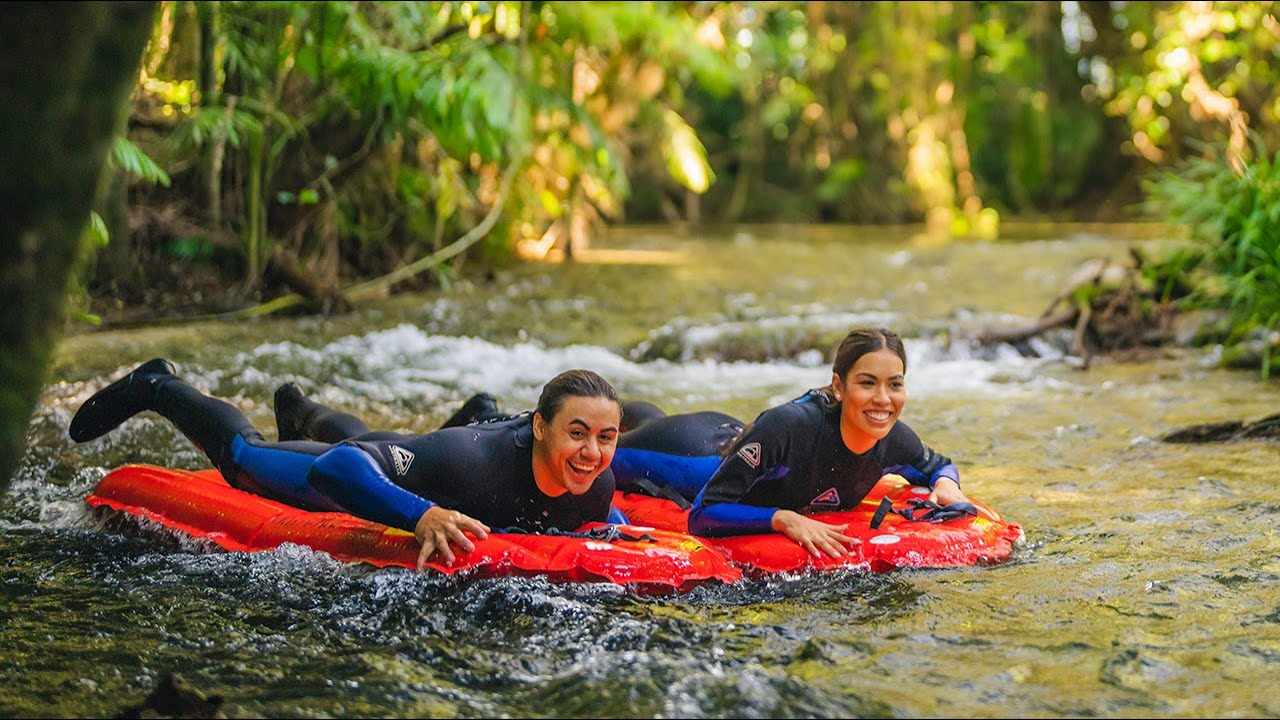 Daintree River drift snorkelling
