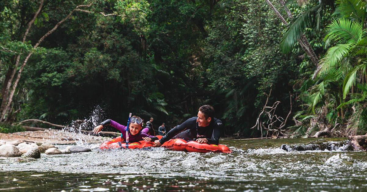 Daintree River drift snorkelling
