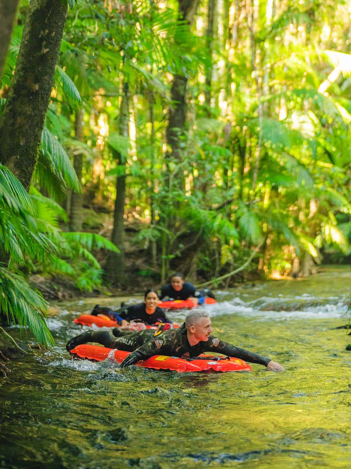 Daintree River drift snorkelling