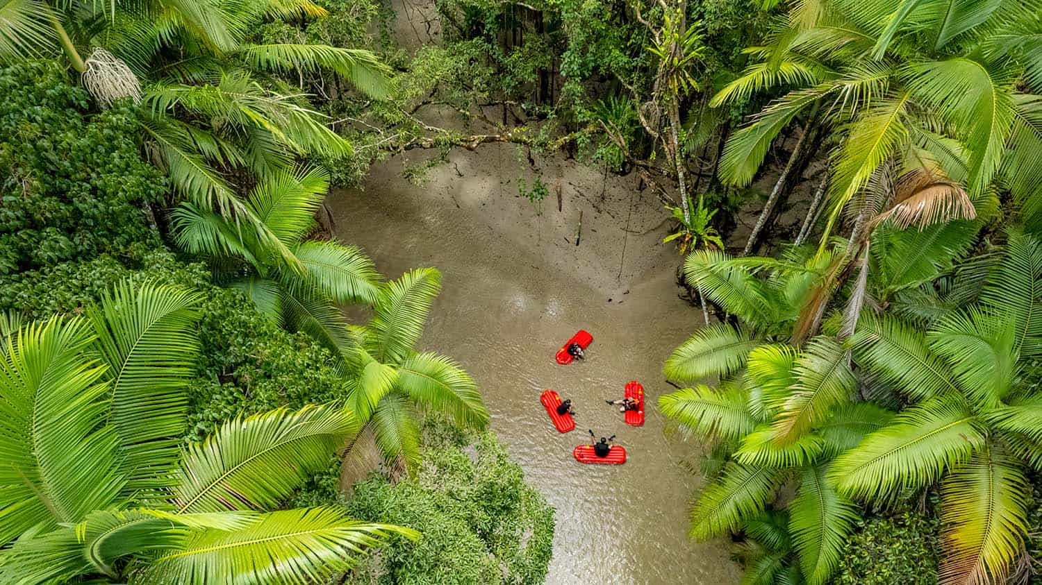 Daintree River drift snorkelling