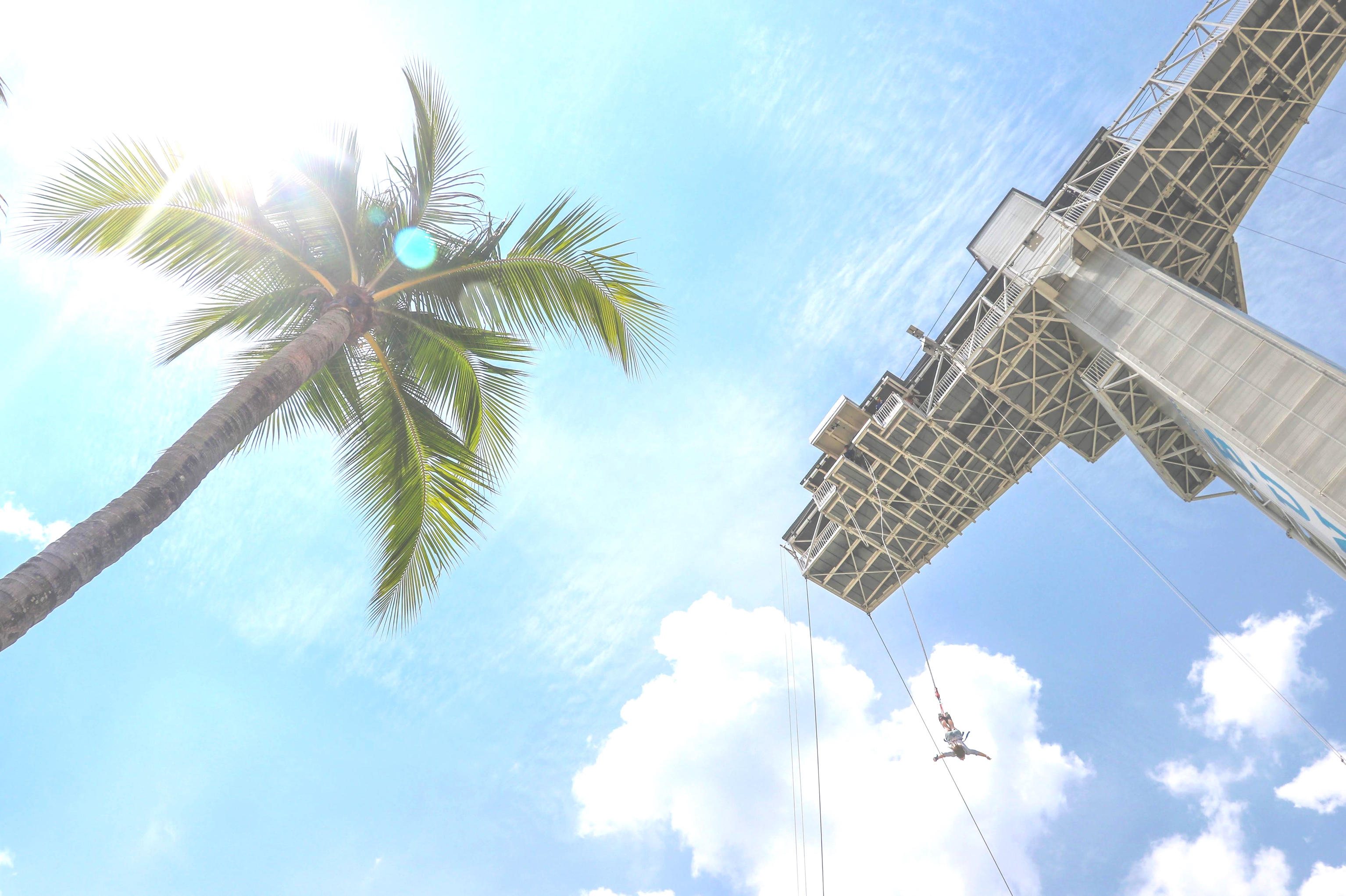 Bungy and the Giant Jungle Swing at the Cairns Skypark