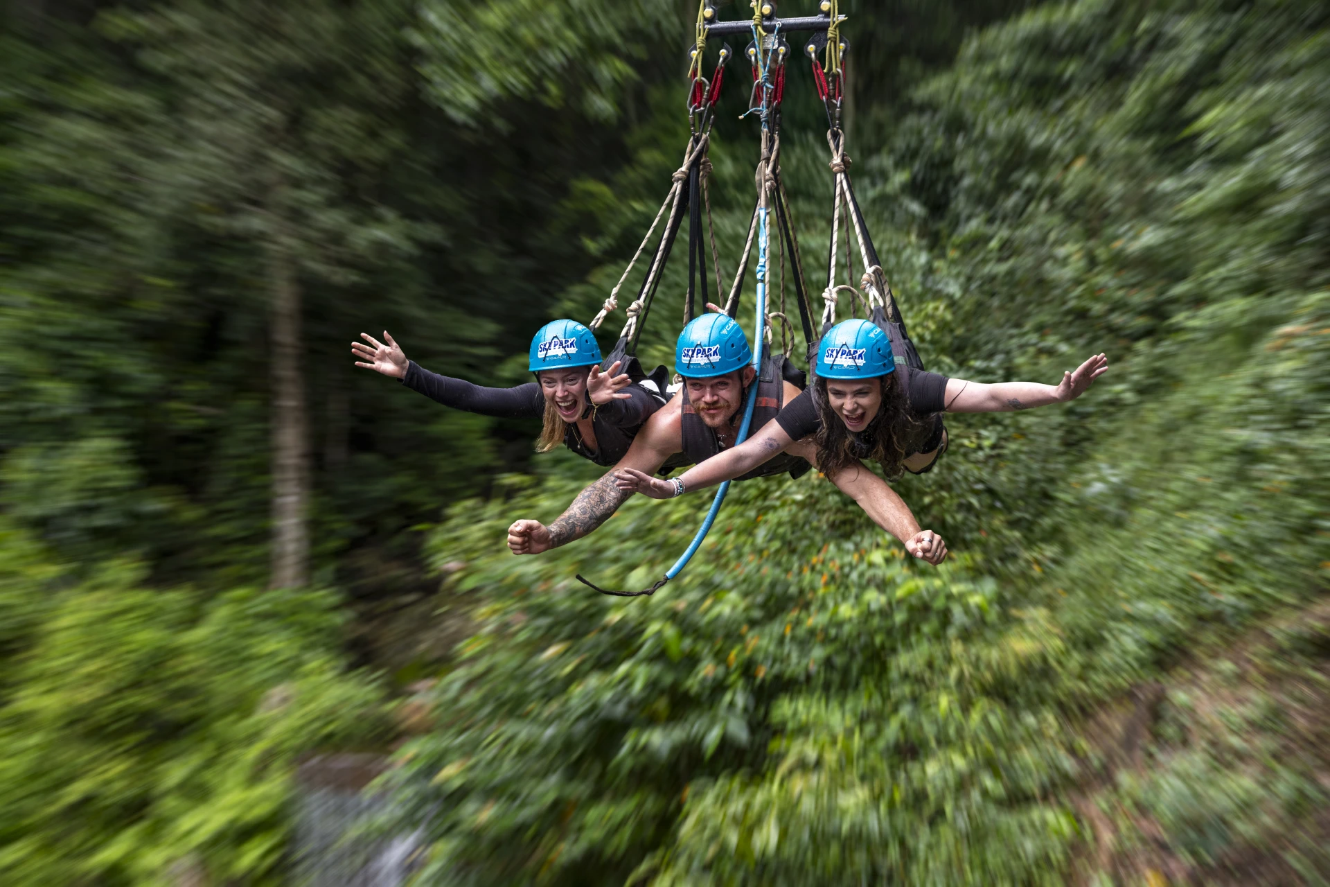 Bungy and the Giant Jungle Swing at the Cairns Skypark