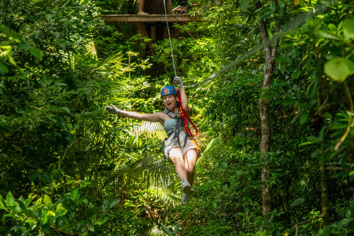 Rainforest ziplining at Cape Tribulation