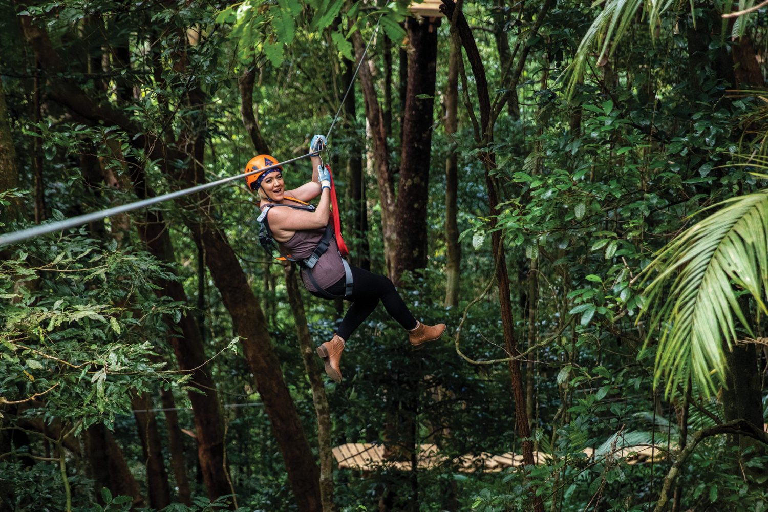 Rainforest ziplining at Cape Tribulation