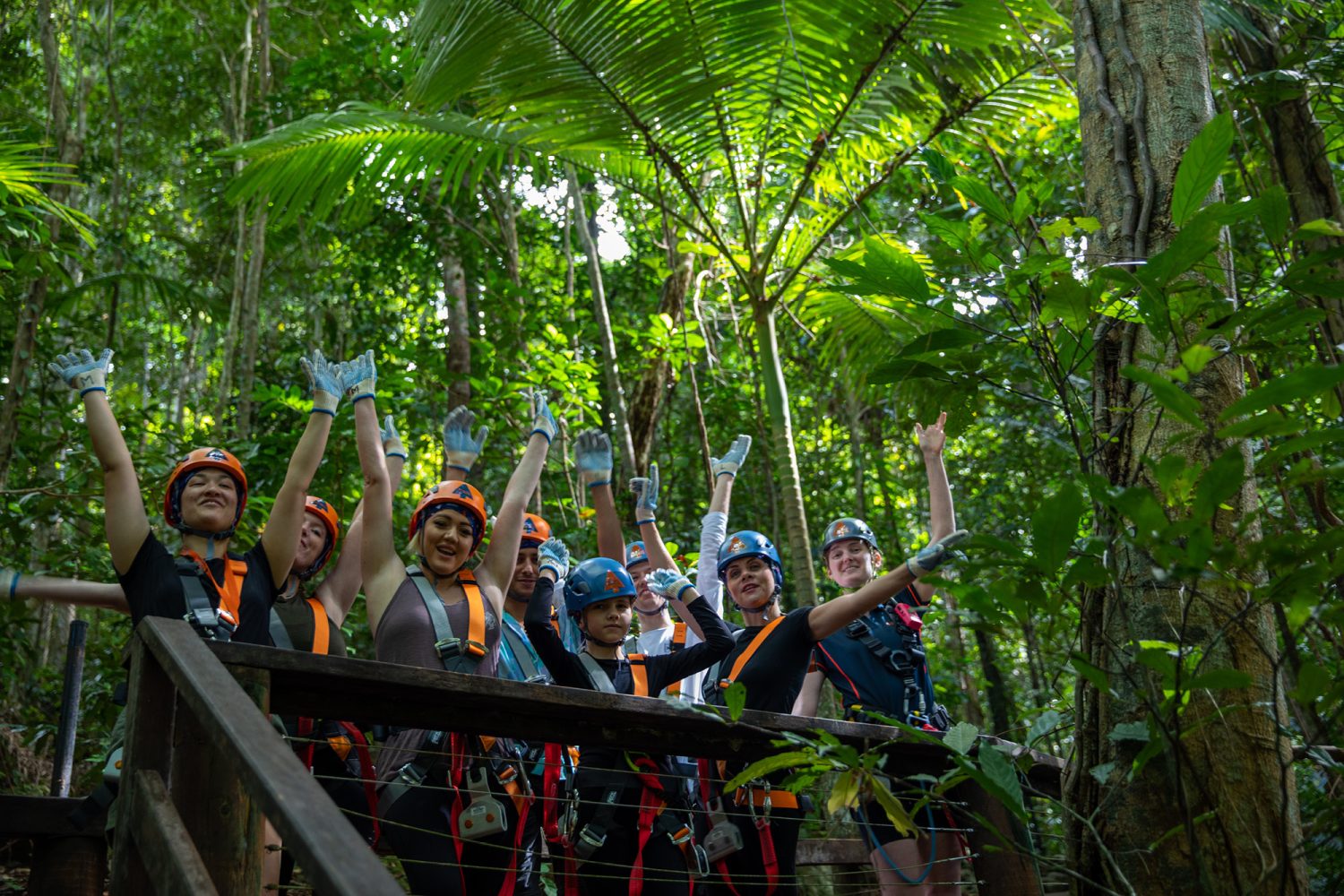 Rainforest ziplining at Cape Tribulation