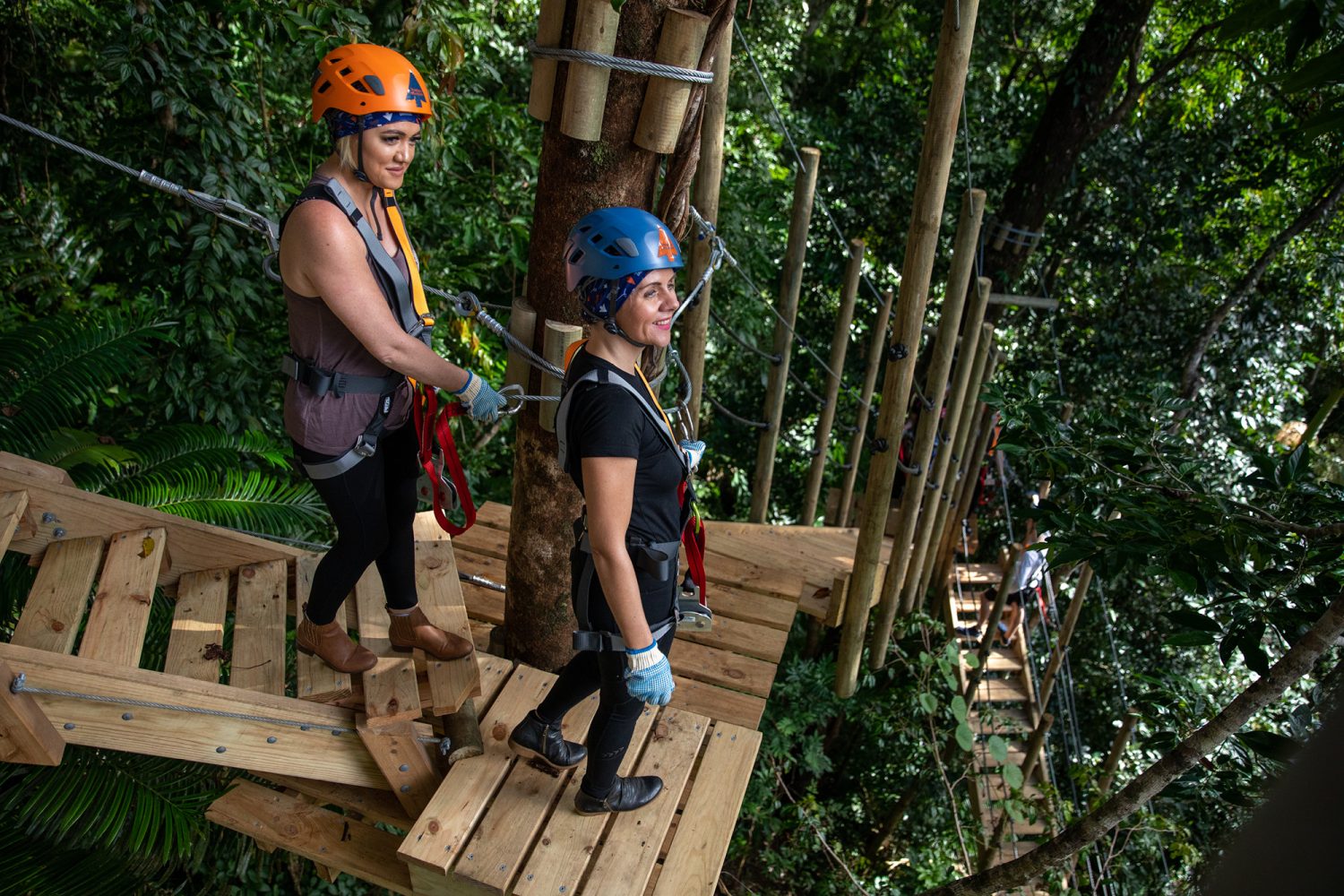 Rainforest ziplining at Cape Tribulation