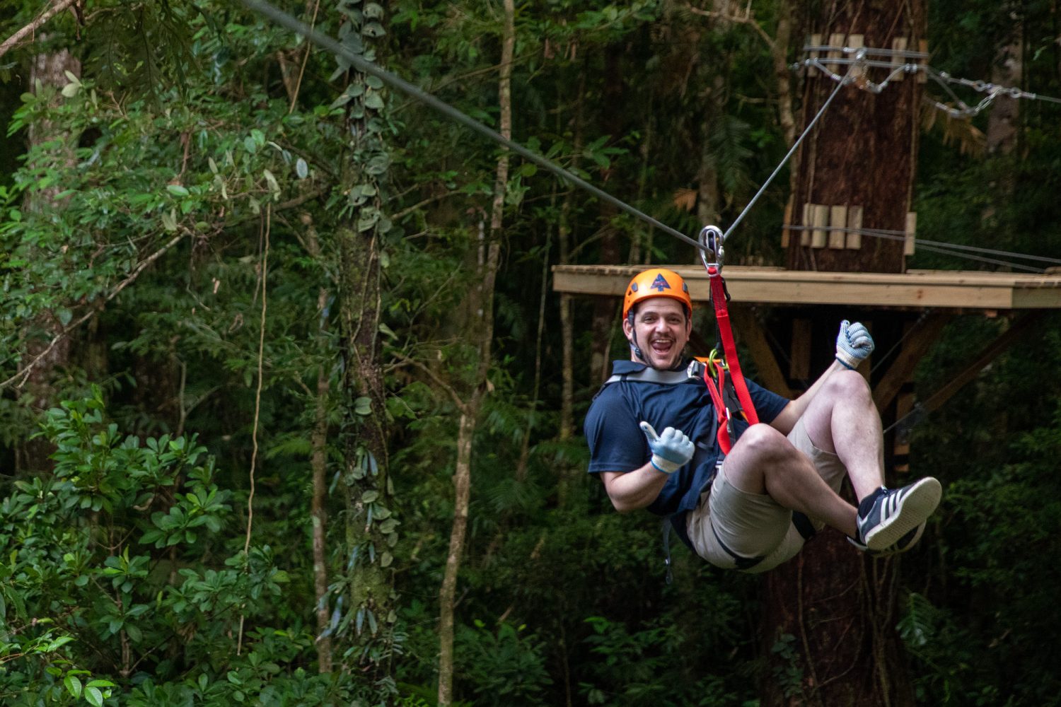 Rainforest ziplining at Cape Tribulation