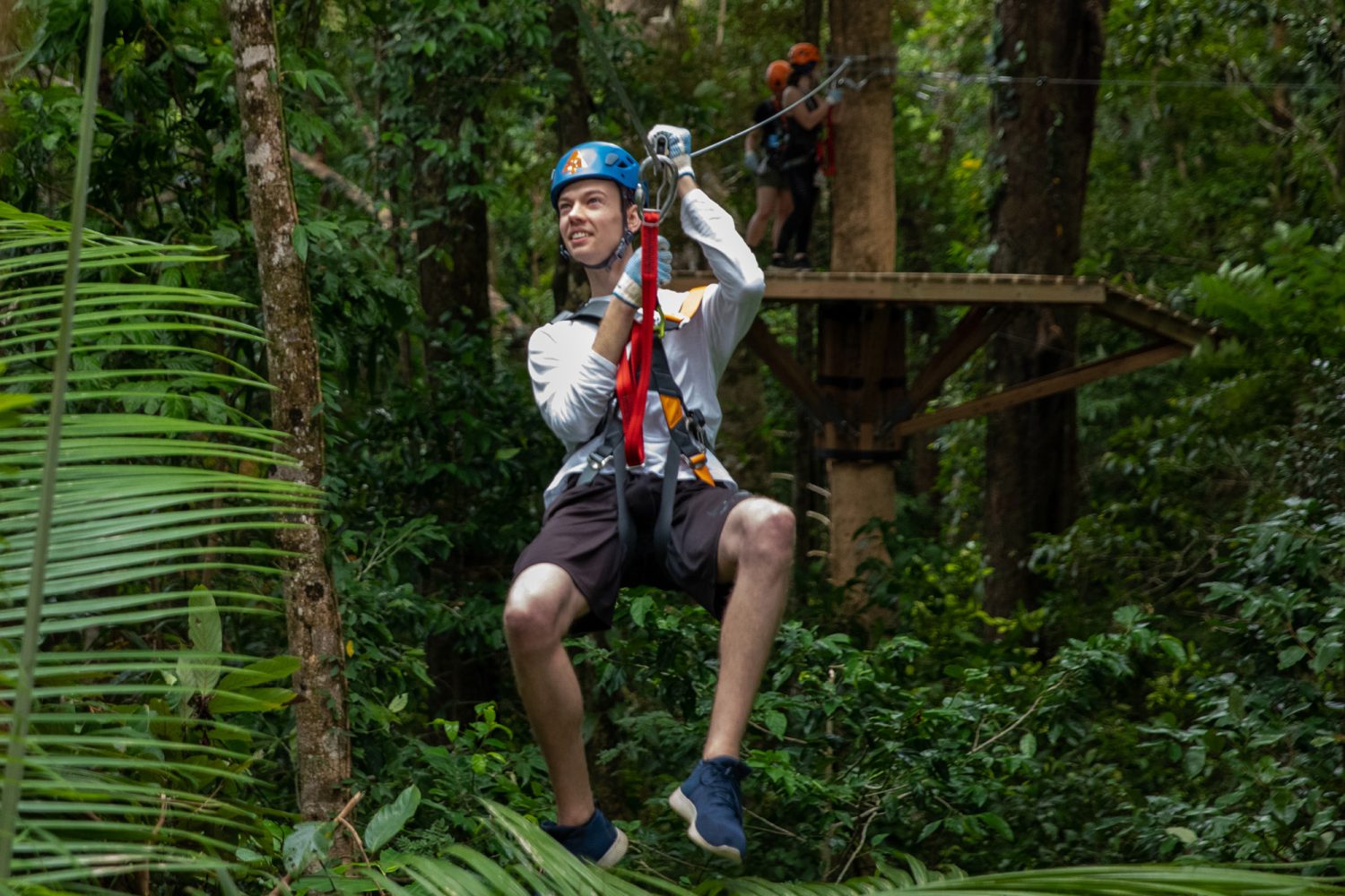 Rainforest ziplining at Cape Tribulation