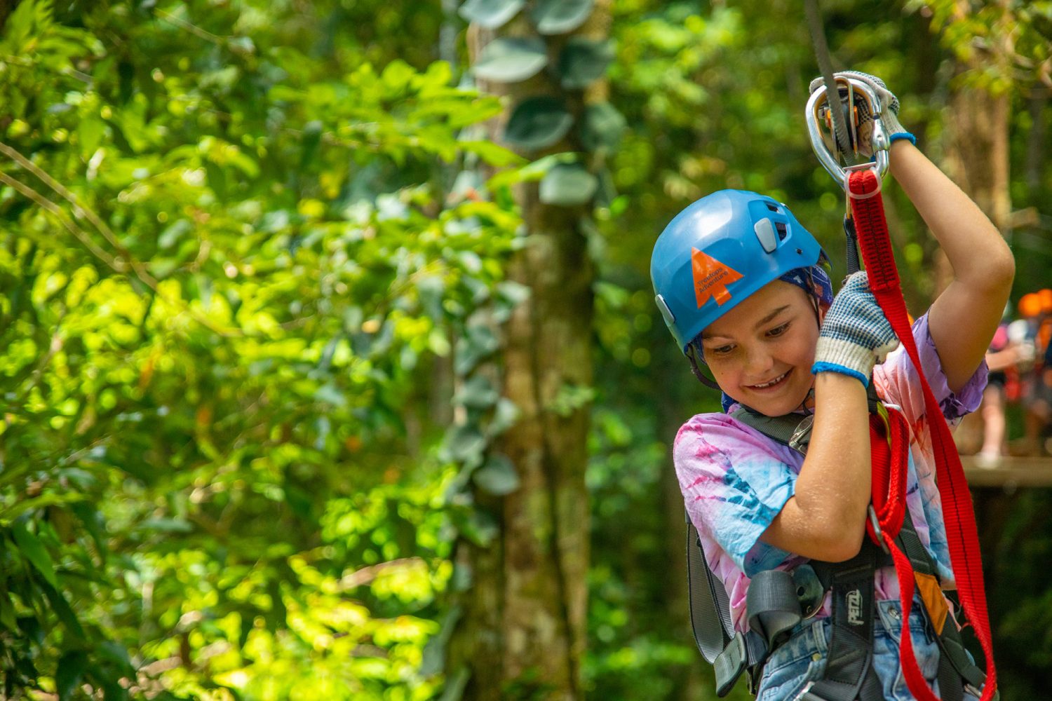 Rainforest ziplining at Cape Tribulation