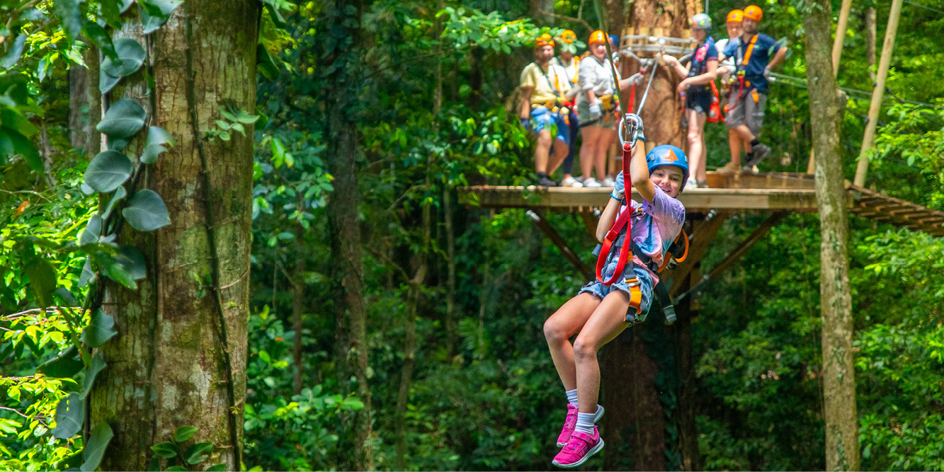 Rainforest ziplining at Cape Tribulation