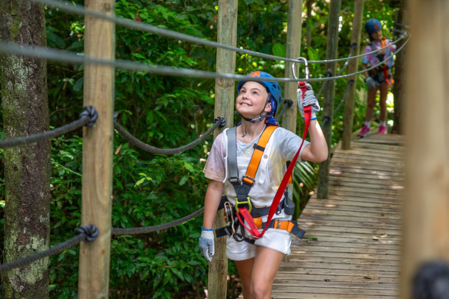 Rainforest ziplining at Cape Tribulation