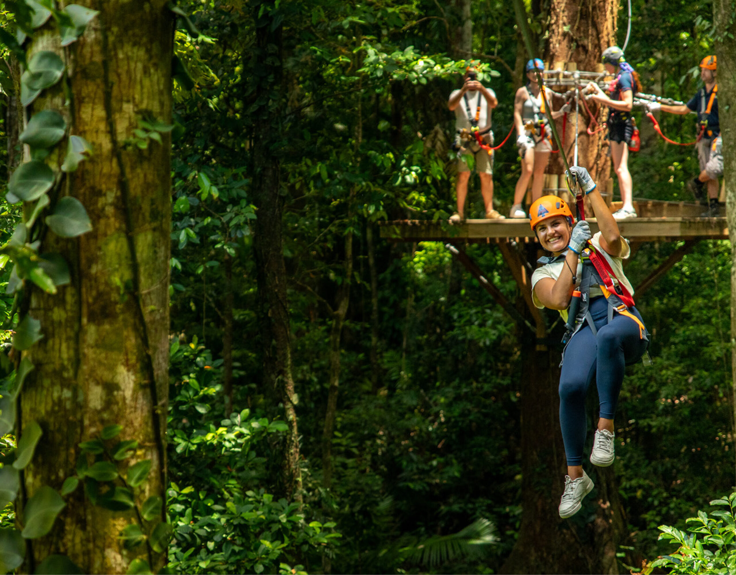 Rainforest ziplining at Cape Tribulation
