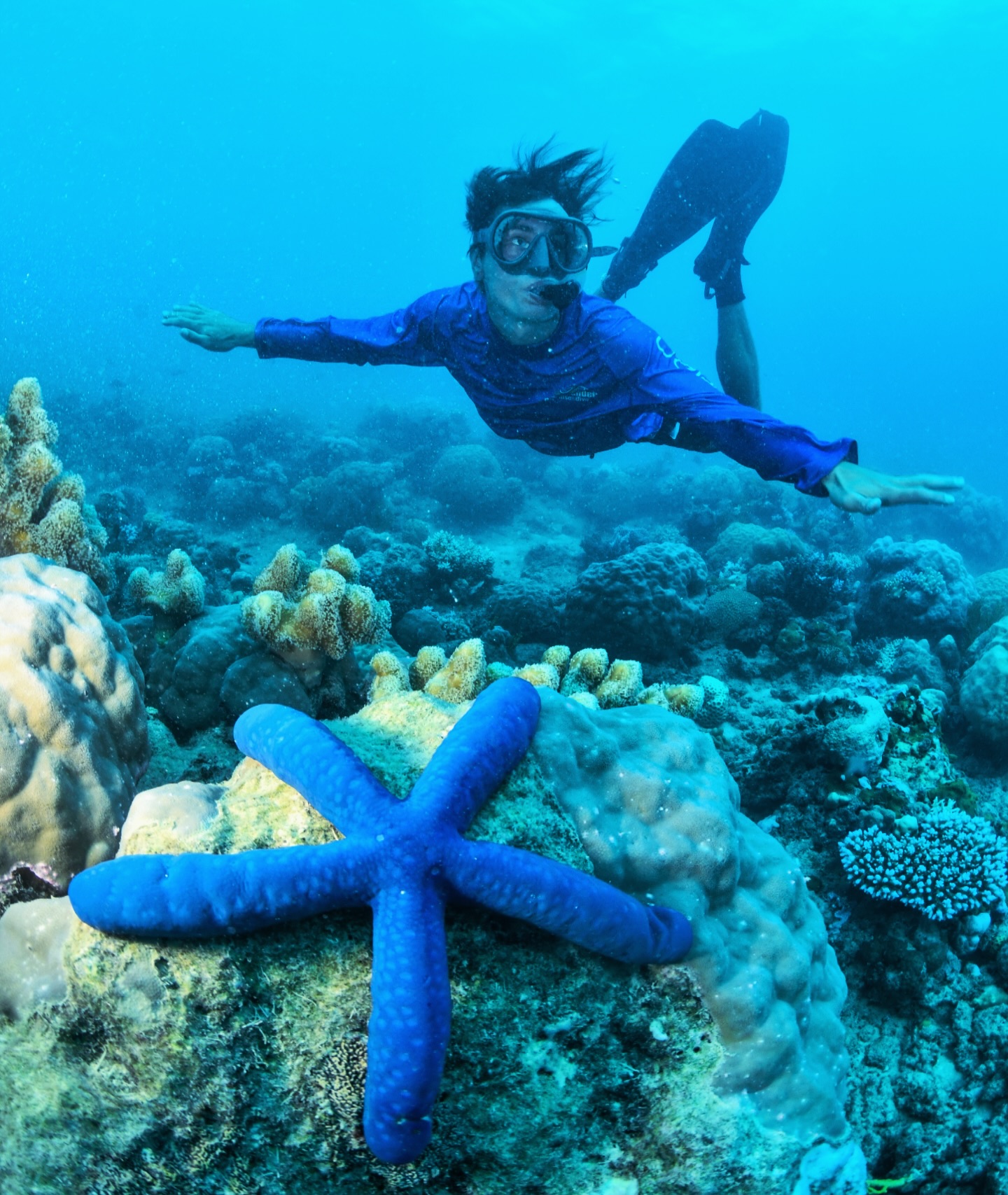 Snorkeller with blue starfish