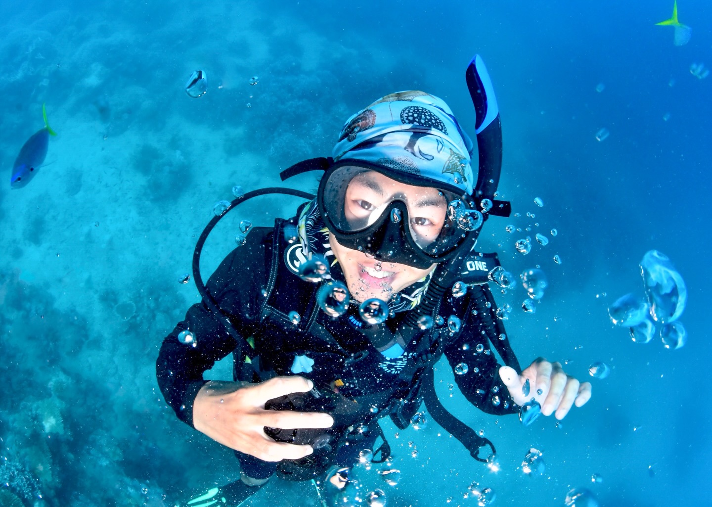 Diver exploring coral close-up