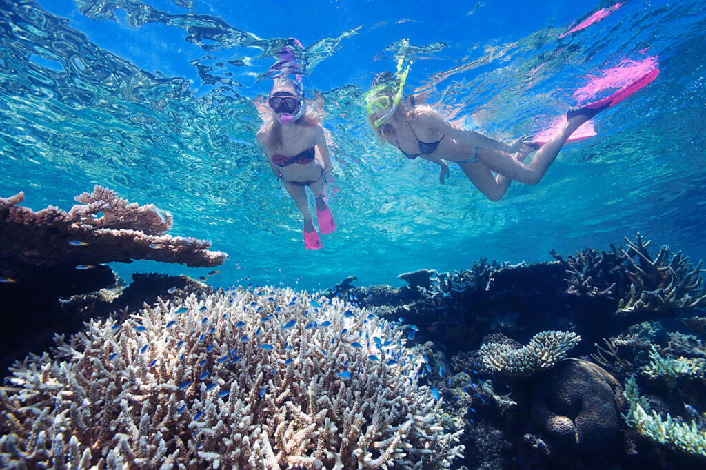 Two snorkellers in clear water